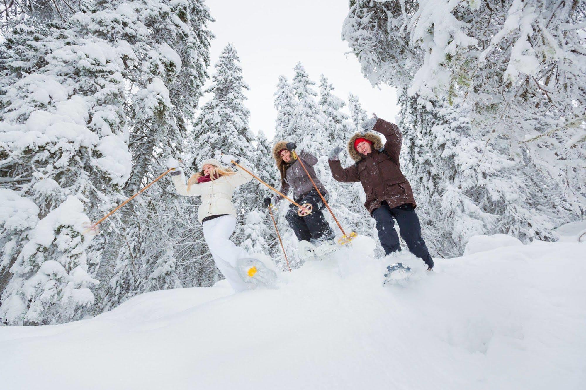 Chalet View Lodge Portola Экстерьер фото